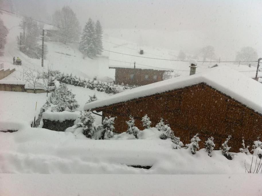 Dans Hameau, Pres Des Pistes Logement De Plein Pied Au Calme Taninges Bagian luar foto