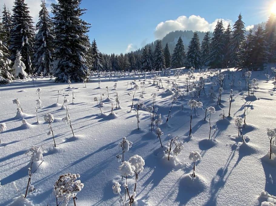 Dans Hameau, Pres Des Pistes Logement De Plein Pied Au Calme Taninges Bagian luar foto
